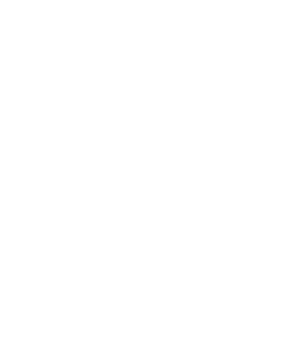 White Logo